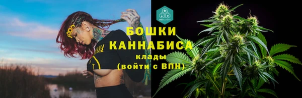 бошки Пересвет