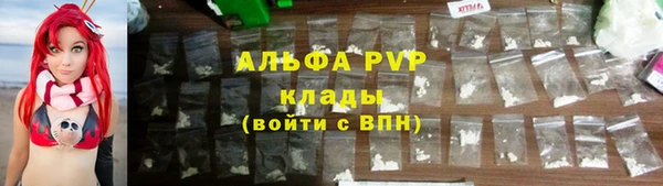 бошки Пересвет